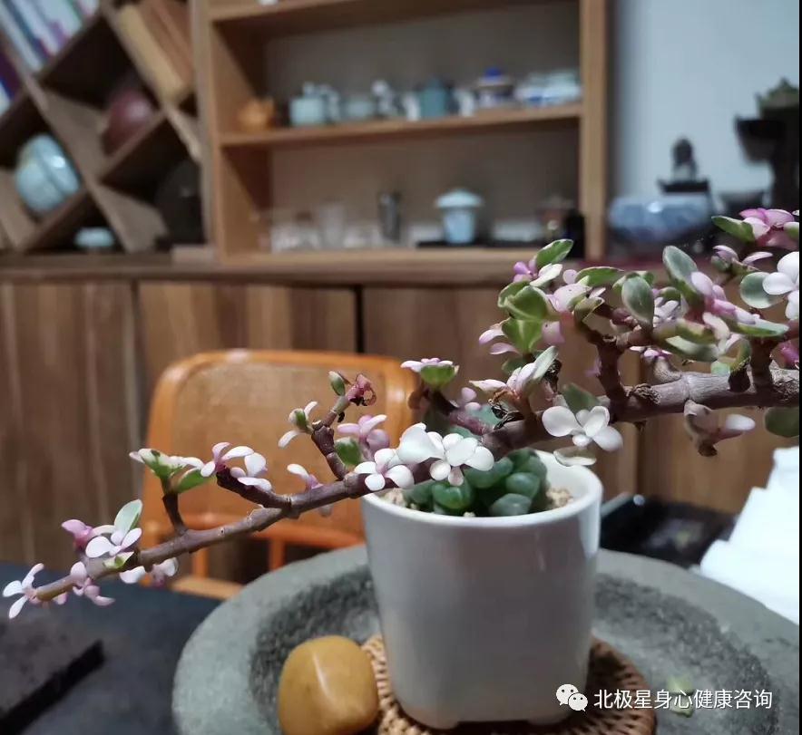 广西桂林市何荷身心疗愈中心